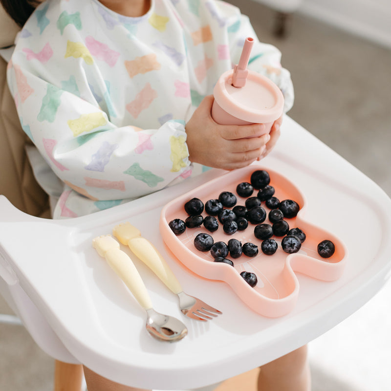 LouLou Lollipop | Long Sleeve Waterproof Bib - Plumme Box