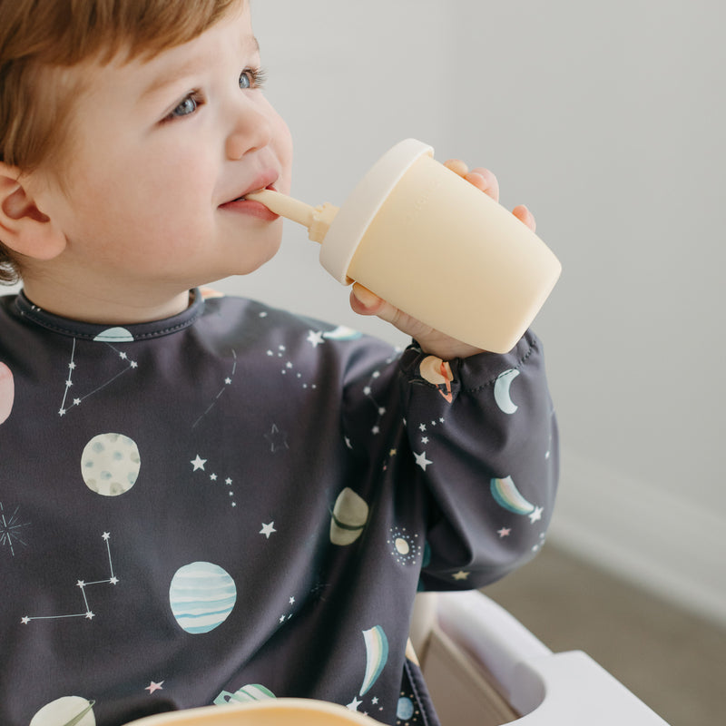 LouLou Lollipop | Long Sleeve Waterproof Bib - Plumme Box